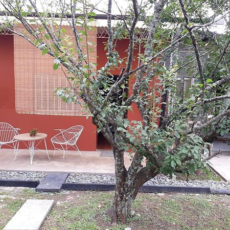 Alquiler Monoambiente Lejlighed San Salvador de Jujuy Eksteriør billede